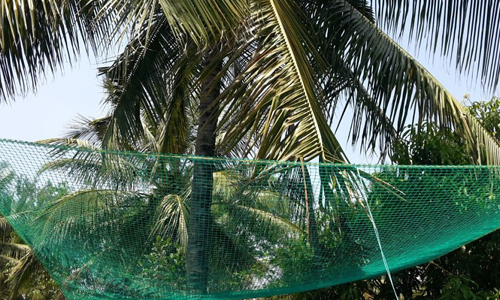 Coconut Safety Nets in Bangalore