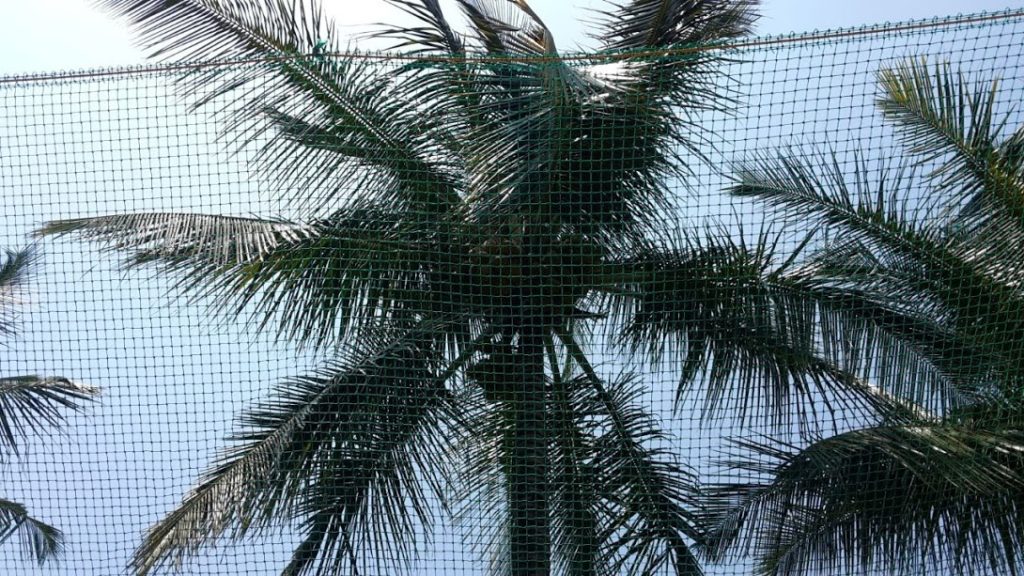 Coconut Safety Nets in Bangalore