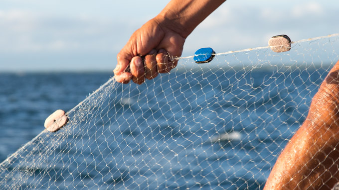 Fishing Nets in Bangalore