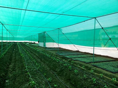 Shade Nets in Bangalore